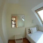 Oasis Kamchia