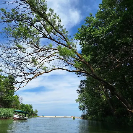 Daire Oasis Kamchia *