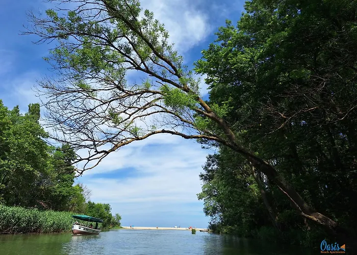 Апартамент оазис бийч *
