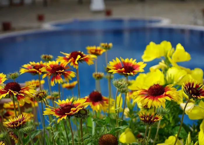 Апартамент оазис бийч